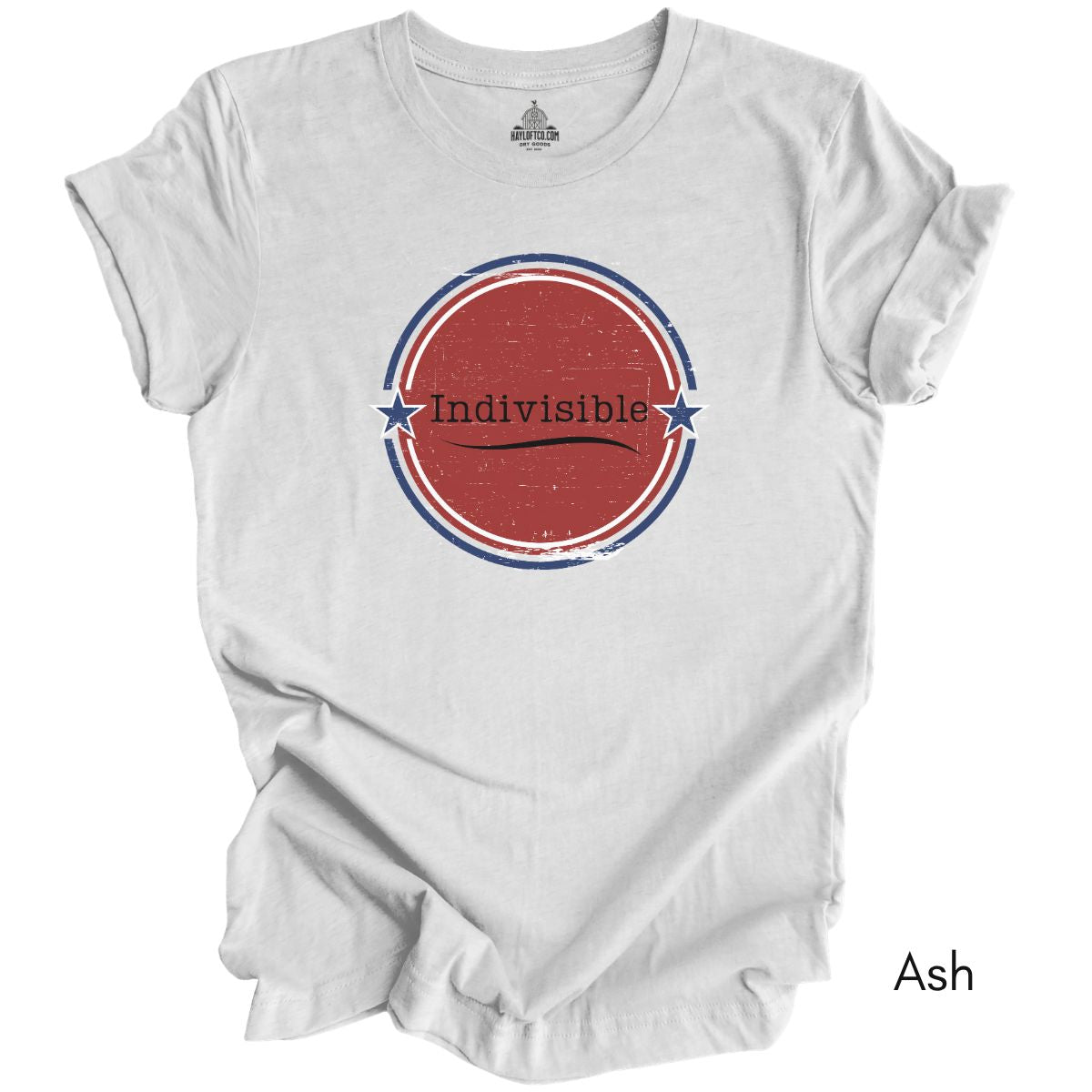 Indivisible Unisex Jersey Light Weight Group T-shirt