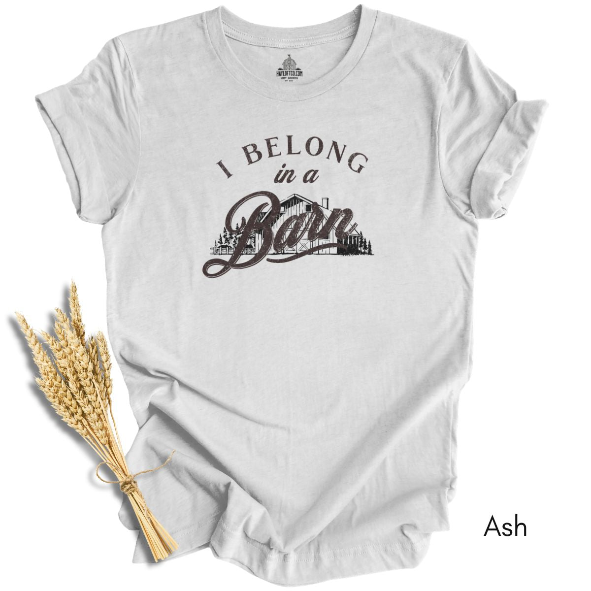 I Belong in a Barn T-shirt -  Unisex Jersey Light Weight Tee