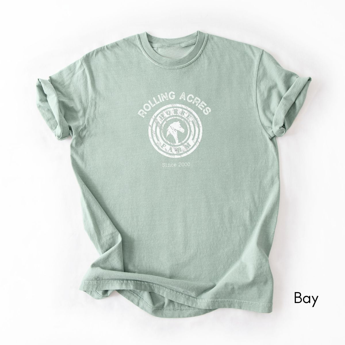 Custom Horse Farm Midweight Vintage Style T-shirt