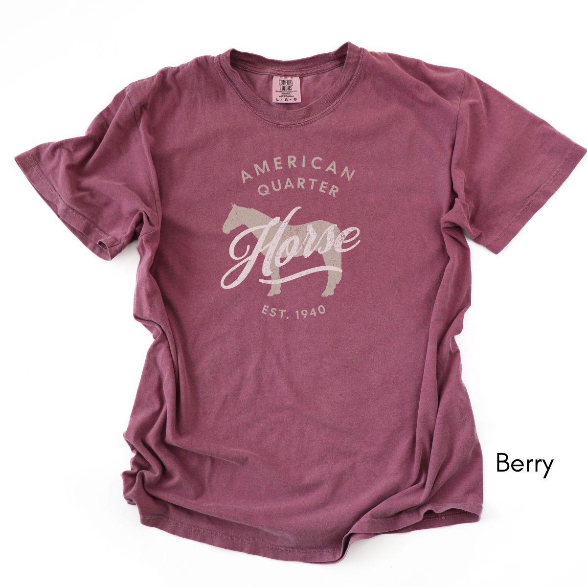 American Quarter Horse Breed Midweight Vintage Style T-Shirt