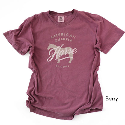American Quarter Horse Breed Midweight Vintage Style T-Shirt