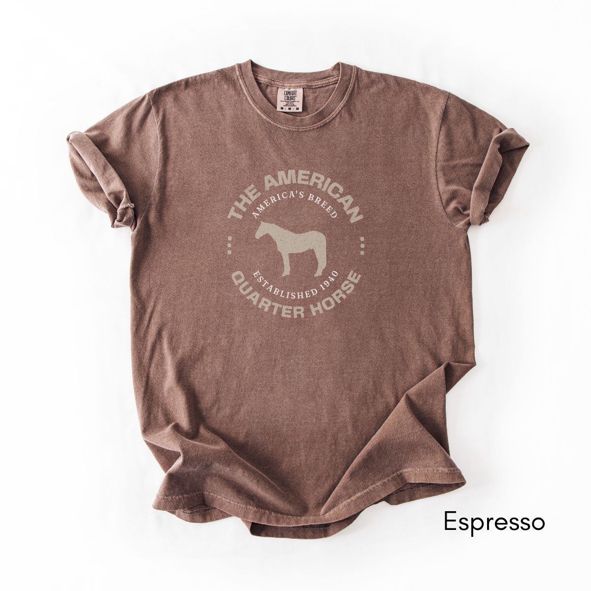American Quarter Horse Breed Unisex Vintage Mid-Weight T-shirt