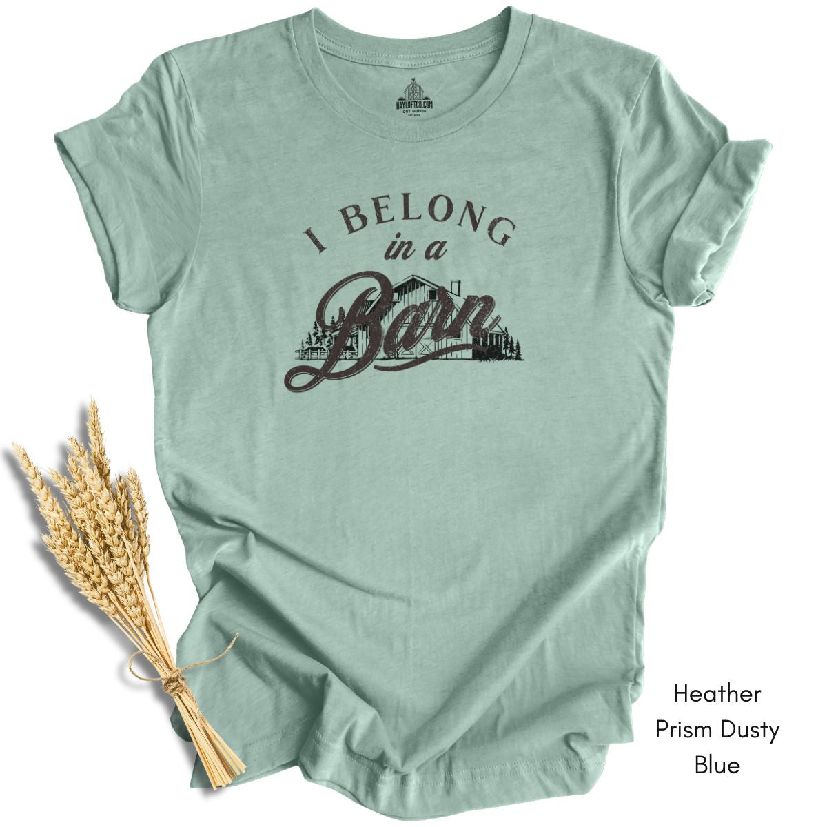 I Belong in a Barn T-shirt -  Unisex Jersey Light Weight Tee