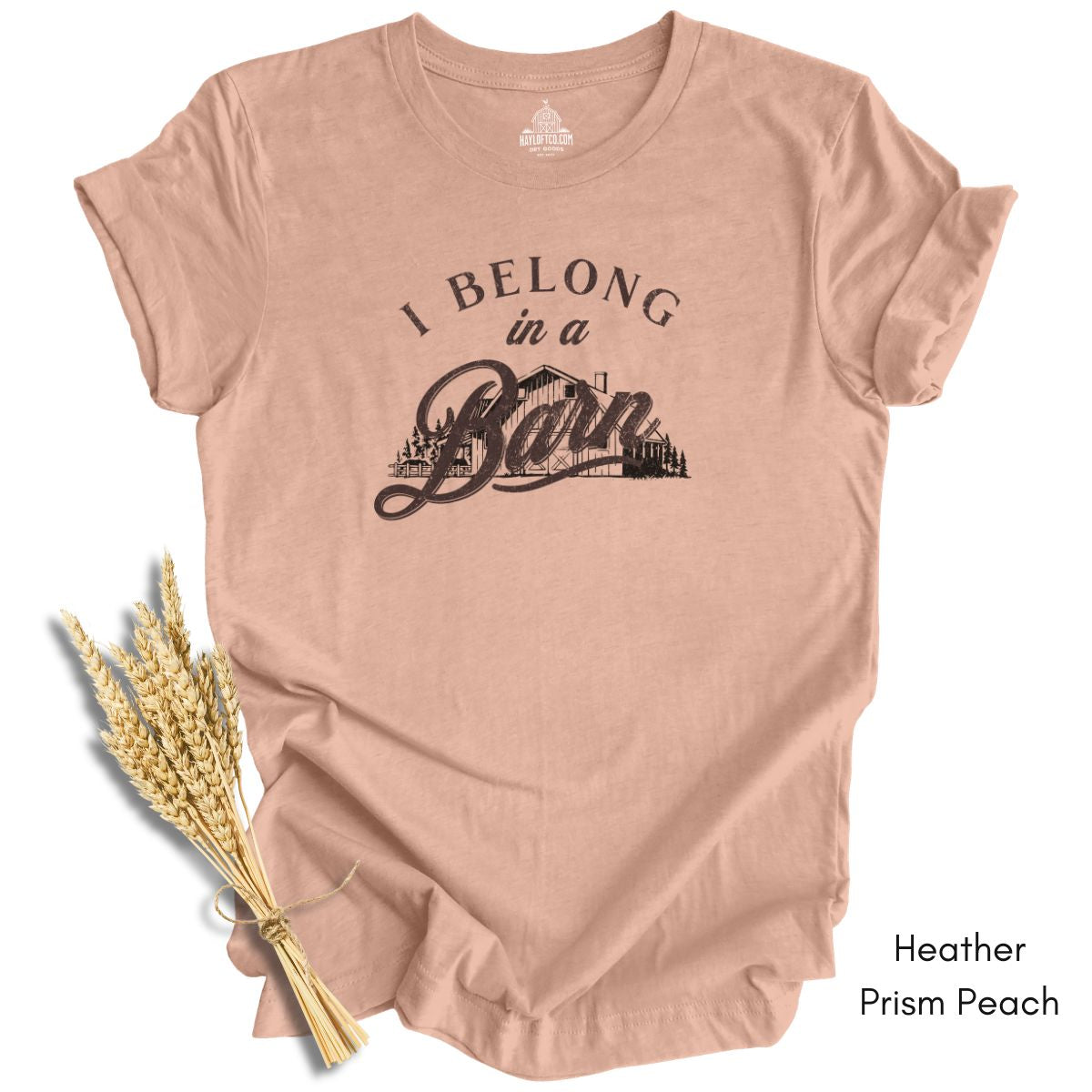 I Belong in a Barn T-shirt -  Unisex Jersey Light Weight Tee