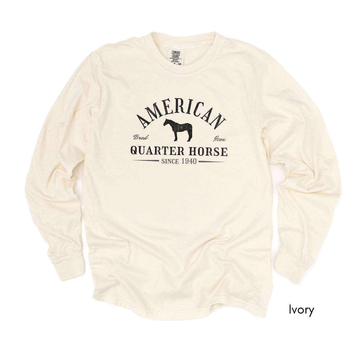 American Quarter Horse Long Sleeve Garment Dyed T-shirt