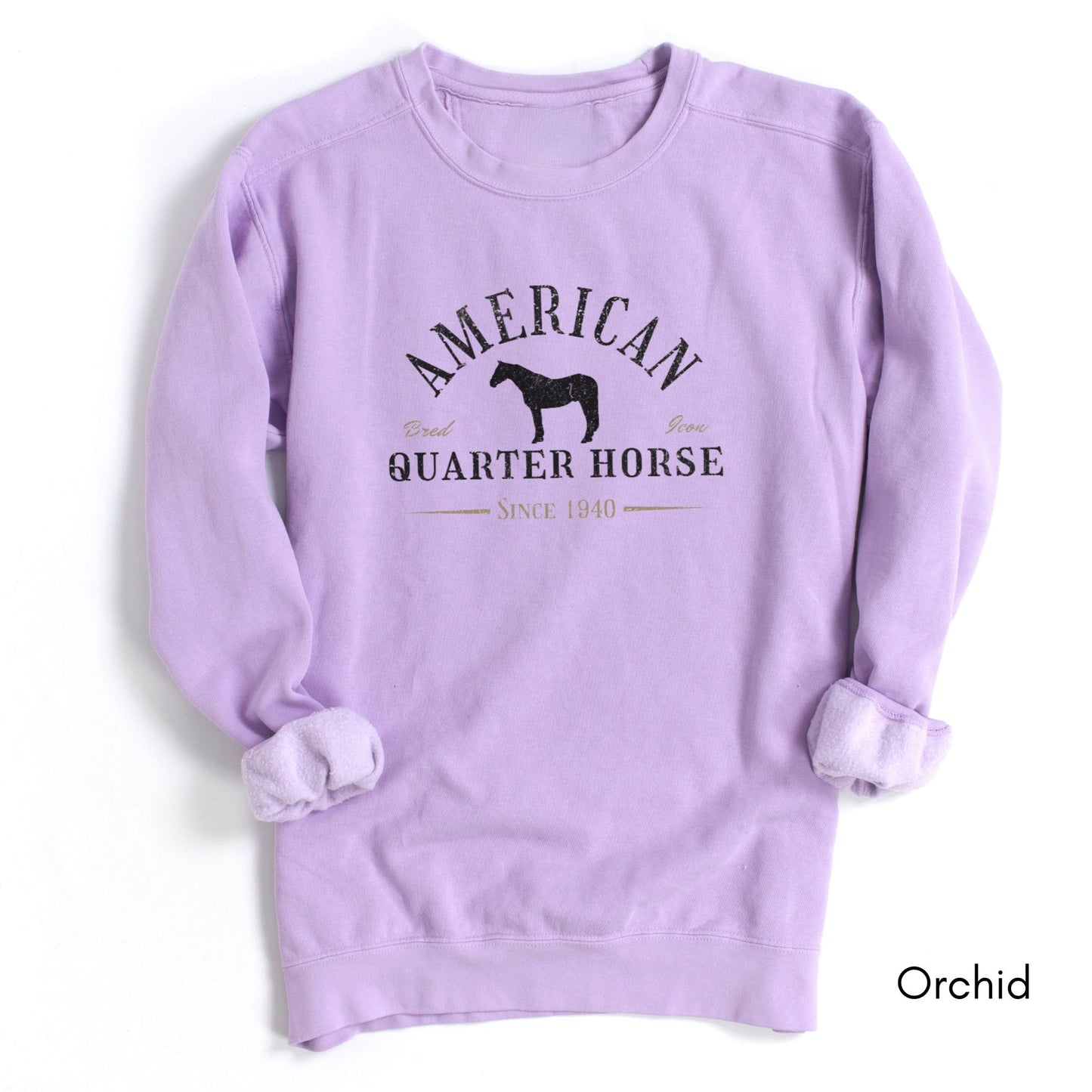 American Quarter Horse Garment-Dyed Vintage Style Sweatshirt