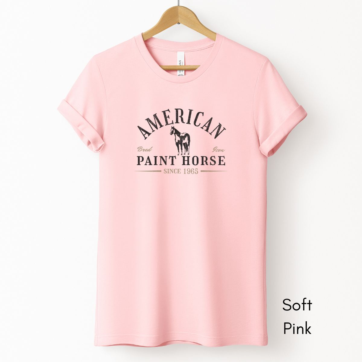 American Paint Horse Unisex Light Weight Jersey T-shirt