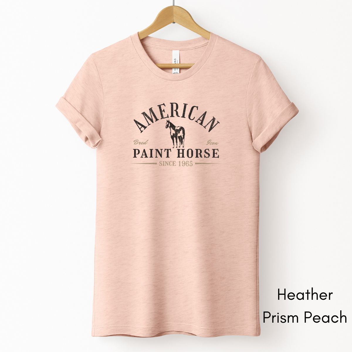 American Paint Horse Unisex Light Weight Jersey T-shirt