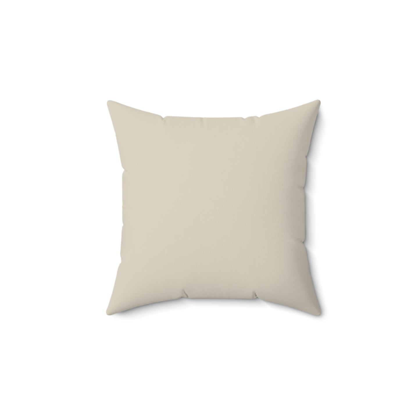 You & Me plus Chickens - Farmhouse Decor Square Pillow